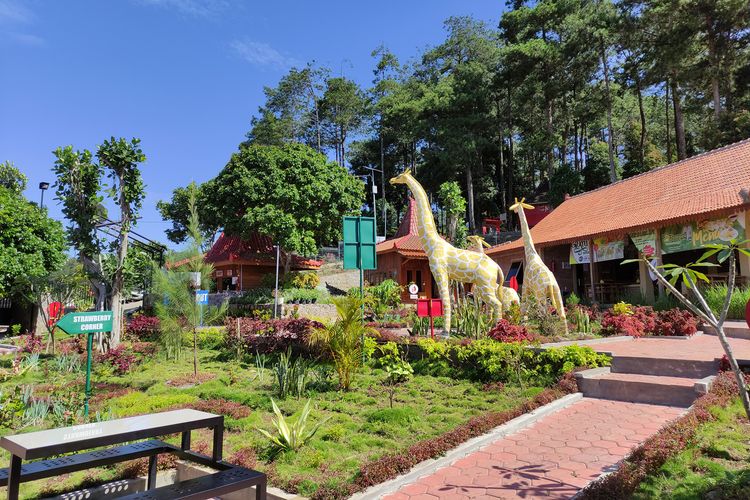 Wisata